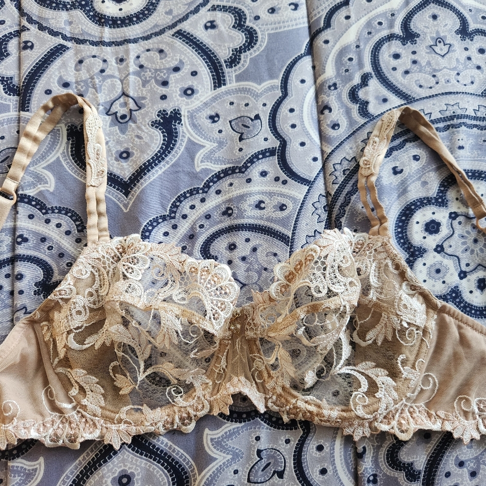 Lise Charmel Dressing Floral Demi Cup Bra ACC3088 size 32D